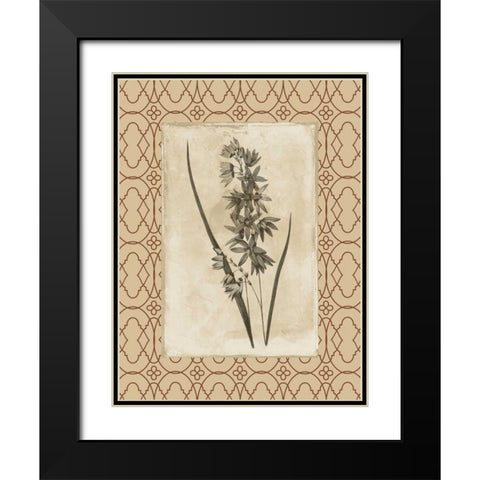Floral bordered Black Modern Wood Framed Art Print with Double Matting by Grey, Jace