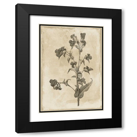 Floral Earthtone Three Black Modern Wood Framed Art Print with Double Matting by Grey, Jace