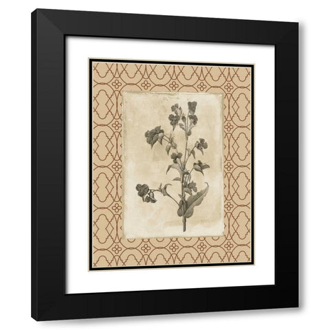 Floral bordered 3 Black Modern Wood Framed Art Print with Double Matting by Grey, Jace