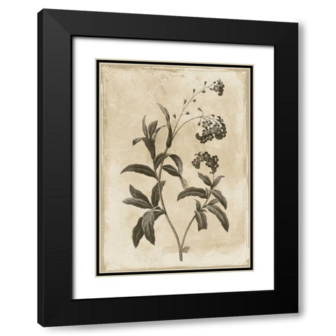 Floral Earthtone Four Black Modern Wood Framed Art Print with Double Matting by Grey, Jace