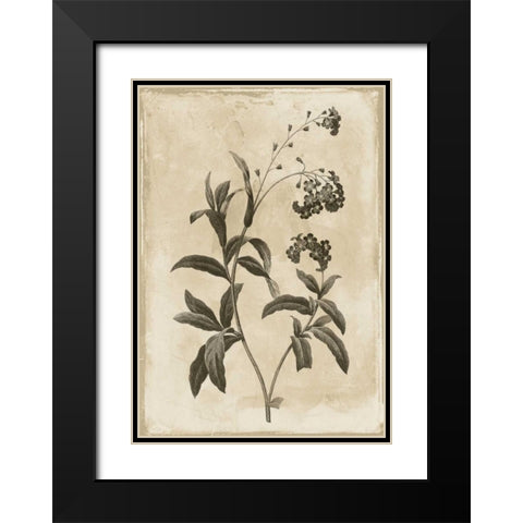 Floral Earthtone Four Black Modern Wood Framed Art Print with Double Matting by Grey, Jace