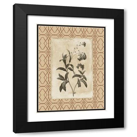 Floral bordered 4 Black Modern Wood Framed Art Print with Double Matting by Grey, Jace