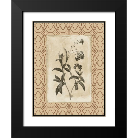 Floral bordered 4 Black Modern Wood Framed Art Print with Double Matting by Grey, Jace