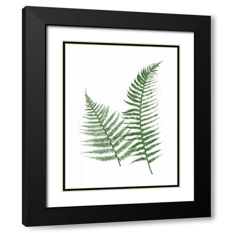Green Ferns Black Modern Wood Framed Art Print with Double Matting by Grey, Jace