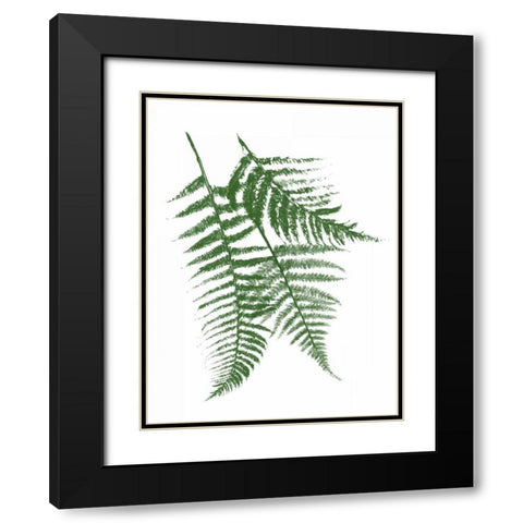 Green Ferns Mate Black Modern Wood Framed Art Print with Double Matting by Grey, Jace