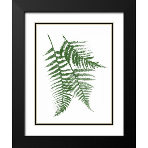 Green Ferns Mate Black Modern Wood Framed Art Print with Double Matting by Grey, Jace