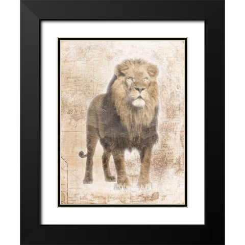 African Lion Black Modern Wood Framed Art Print with Double Matting by Grey, Jace