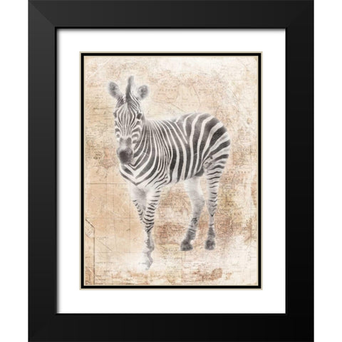 African Zebra Black Modern Wood Framed Art Print with Double Matting by Grey, Jace
