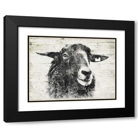 Vintage Sheep Black Modern Wood Framed Art Print with Double Matting by Grey, Jace