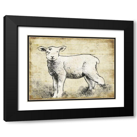 Vintage Lamb Sketch Black Modern Wood Framed Art Print with Double Matting by Grey, Jace