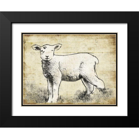 Vintage Lamb Sketch Black Modern Wood Framed Art Print with Double Matting by Grey, Jace