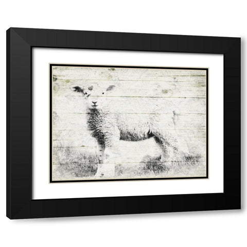 Vintage Lamb Black Modern Wood Framed Art Print with Double Matting by Grey, Jace