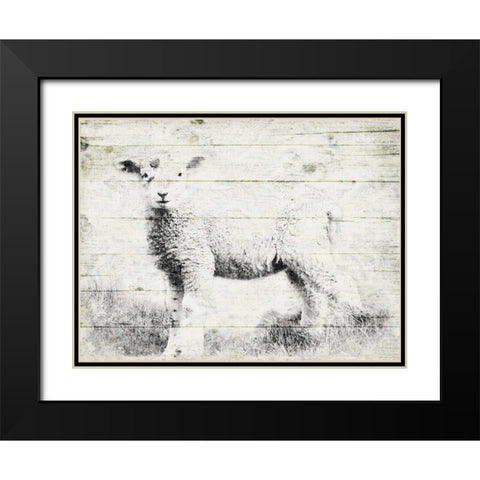 Vintage Lamb Black Modern Wood Framed Art Print with Double Matting by Grey, Jace