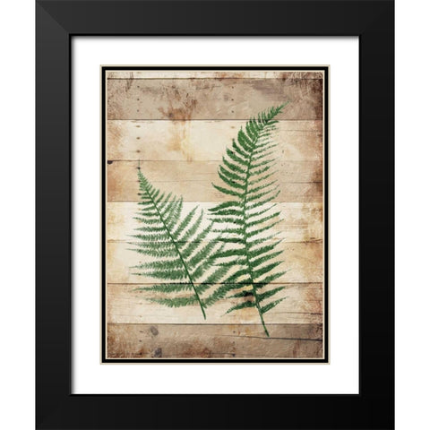 Ferns On Wood Black Modern Wood Framed Art Print with Double Matting by Grey, Jace