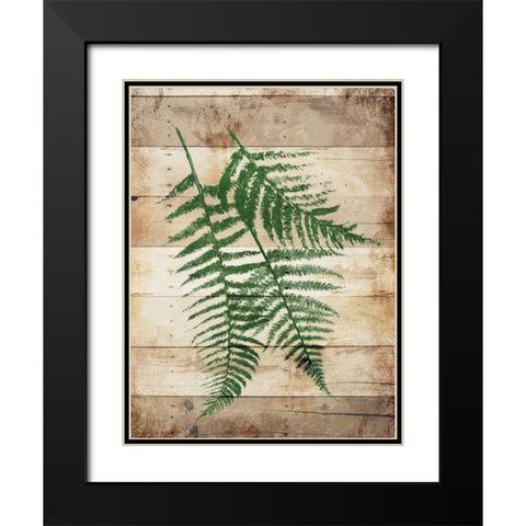 Ferns On Wood Mate Black Modern Wood Framed Art Print with Double Matting by Grey, Jace