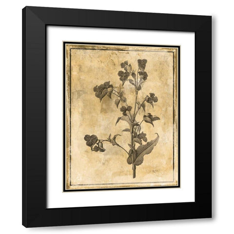 Stencil Floral Black Modern Wood Framed Art Print with Double Matting by Grey, Jace