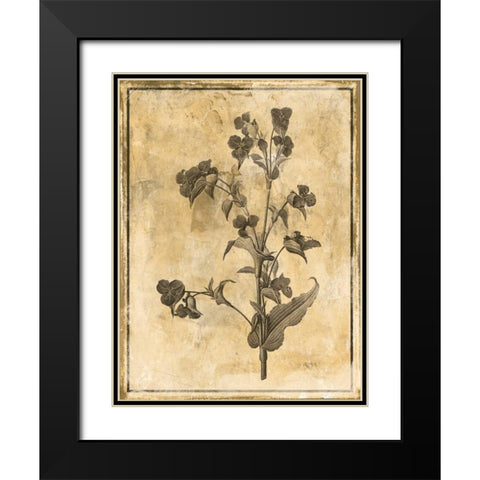 Stencil Floral Black Modern Wood Framed Art Print with Double Matting by Grey, Jace