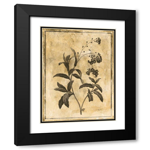 Stencil Floral Mate Black Modern Wood Framed Art Print with Double Matting by Grey, Jace