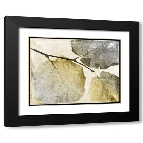 Classic Leaves Black Modern Wood Framed Art Print with Double Matting by Grey, Jace