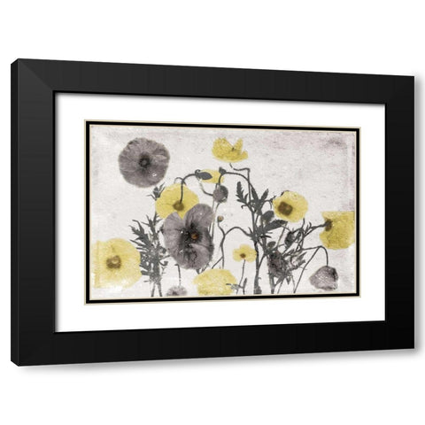 Stone Wash Poppies Light Black Modern Wood Framed Art Print with Double Matting by Grey, Jace