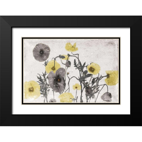 Stone Wash Poppies Light Black Modern Wood Framed Art Print with Double Matting by Grey, Jace