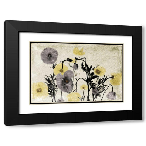 Stone Wash Poppies Black Modern Wood Framed Art Print with Double Matting by Grey, Jace