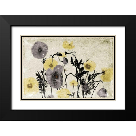 Stone Wash Poppies Black Modern Wood Framed Art Print with Double Matting by Grey, Jace