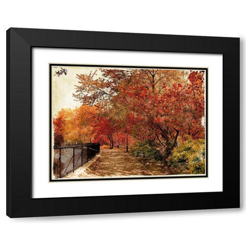 NY Fall Black Modern Wood Framed Art Print with Double Matting by Grey, Jace