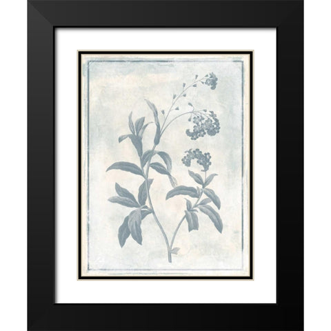 Sky Floral Two Cleaner Black Modern Wood Framed Art Print with Double Matting by Grey, Jace