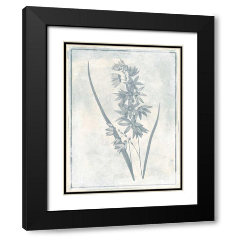 Sky Floral Three Cleaner Black Modern Wood Framed Art Print with Double Matting by Grey, Jace