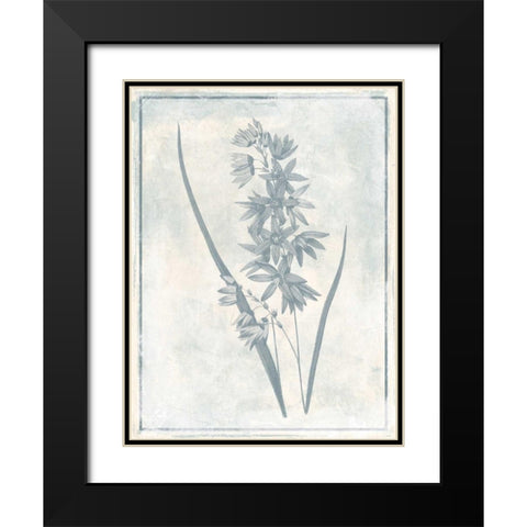 Sky Floral Three Cleaner Black Modern Wood Framed Art Print with Double Matting by Grey, Jace
