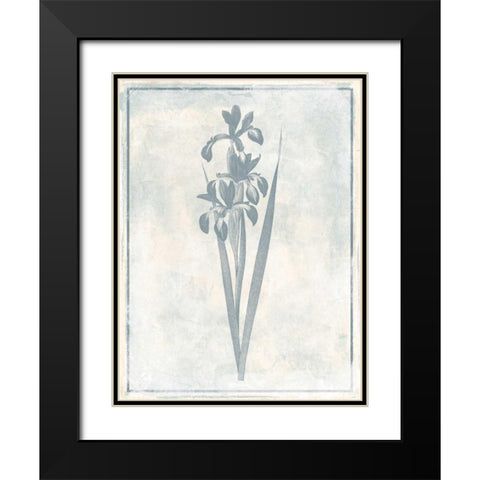 Sky Floral Four Cleaner Black Modern Wood Framed Art Print with Double Matting by Grey, Jace