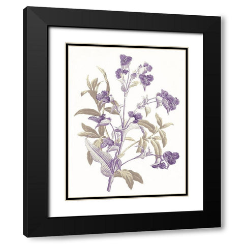 Lavender Flowers Black Modern Wood Framed Art Print with Double Matting by Grey, Jace