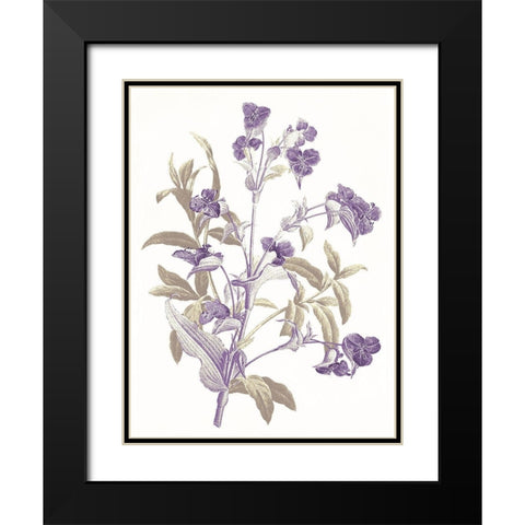Lavender Flowers Black Modern Wood Framed Art Print with Double Matting by Grey, Jace