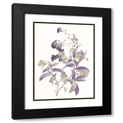 Lavender Flowers Two Black Modern Wood Framed Art Print with Double Matting by Grey, Jace