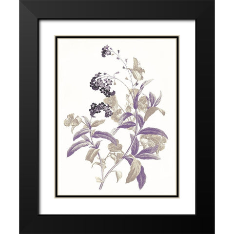 Lavender Flowers Two Black Modern Wood Framed Art Print with Double Matting by Grey, Jace