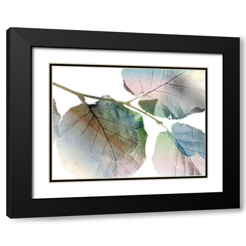 Land Ombre Black Modern Wood Framed Art Print with Double Matting by Grey, Jace