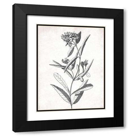 Cream Black Florals Black Modern Wood Framed Art Print with Double Matting by Grey, Jace