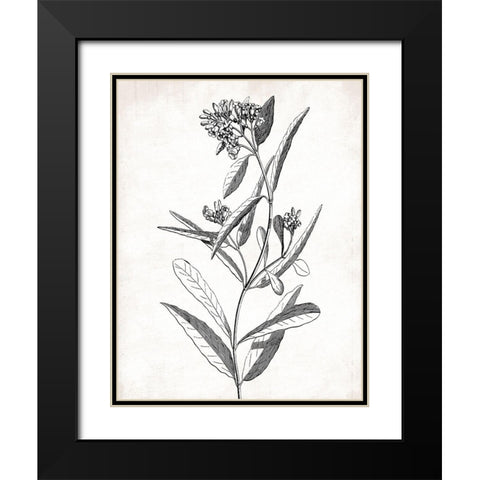 Cream Black Florals Black Modern Wood Framed Art Print with Double Matting by Grey, Jace