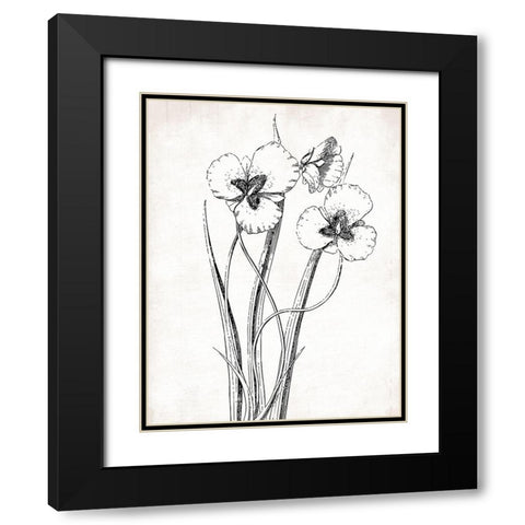 Cream Black Florals Mate Black Modern Wood Framed Art Print with Double Matting by Grey, Jace