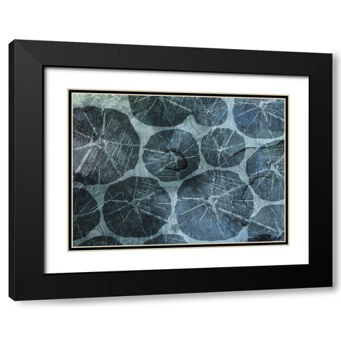 Muted Shells Black Modern Wood Framed Art Print with Double Matting by Grey, Jace