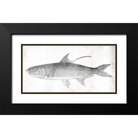 Grey Fish Black Modern Wood Framed Art Print with Double Matting by Grey, Jace
