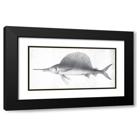 Grey Sword Fish Black Modern Wood Framed Art Print with Double Matting by Grey, Jace