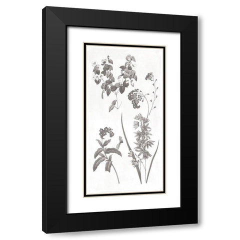 Plants Black Modern Wood Framed Art Print with Double Matting by Grey, Jace