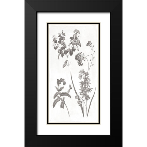 Plants Black Modern Wood Framed Art Print with Double Matting by Grey, Jace