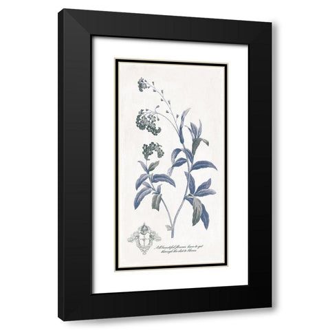 Beautiful Flowers Black Modern Wood Framed Art Print with Double Matting by Grey, Jace