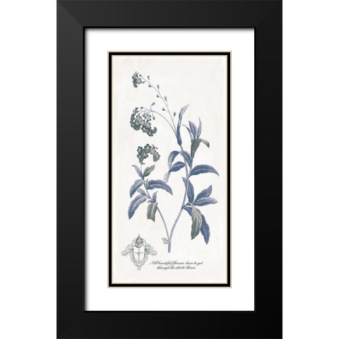 Beautiful Flowers Black Modern Wood Framed Art Print with Double Matting by Grey, Jace