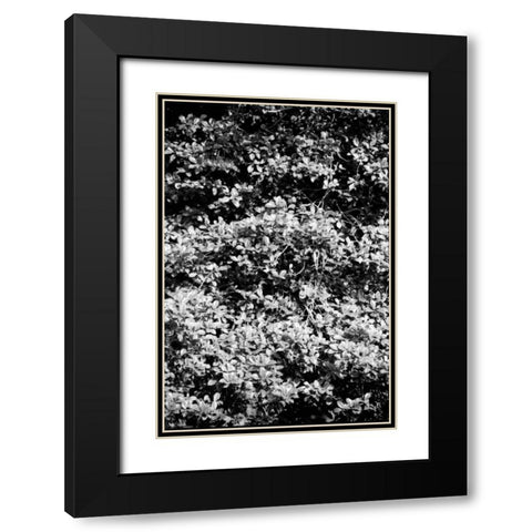 Beach Foliage 6 Black Modern Wood Framed Art Print with Double Matting by Grey, Jace