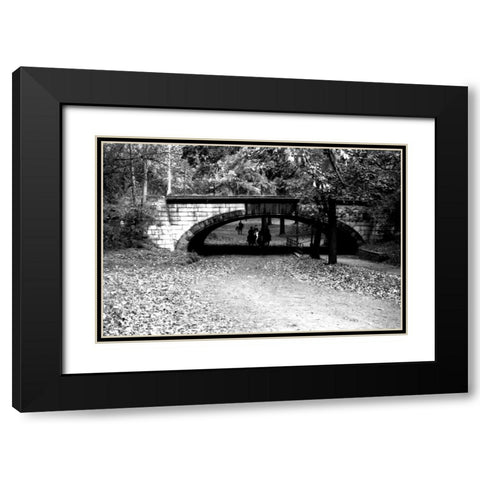 Central Park Horses Black Modern Wood Framed Art Print with Double Matting by Grey, Jace