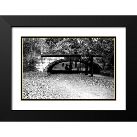 Central Park Horses Black Modern Wood Framed Art Print with Double Matting by Grey, Jace